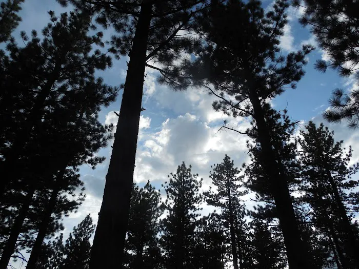 New Shady Rest Campground Picture 3