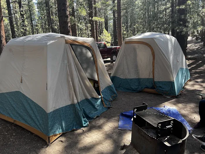New Shady Rest Campground Picture 9