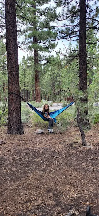 New Shady Rest Campground Picture 8