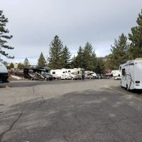 Mammoth Campground ico