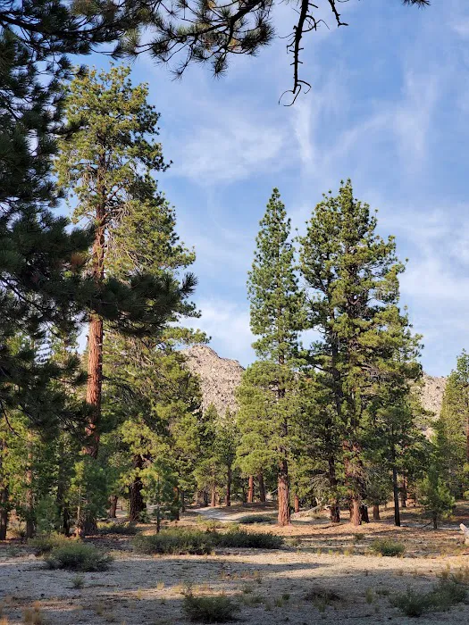 Lower Deadman Campground Picture 3