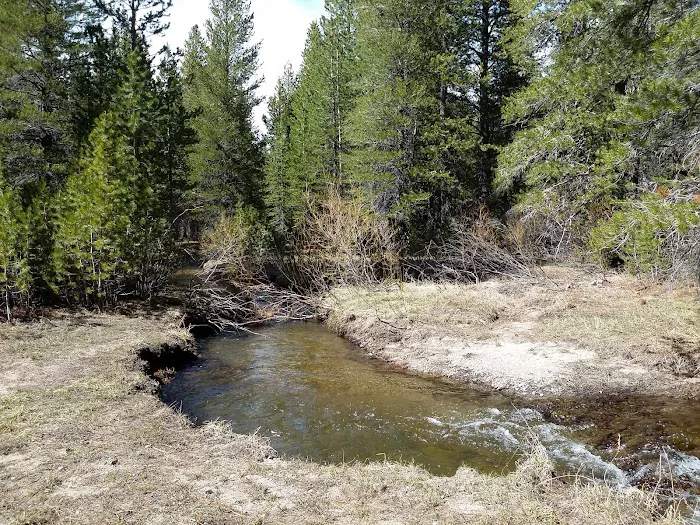 Lower Deadman Campground Picture 2