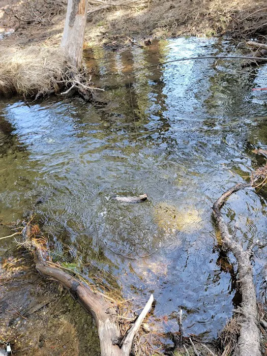 Lower Deadman Campground Picture 6