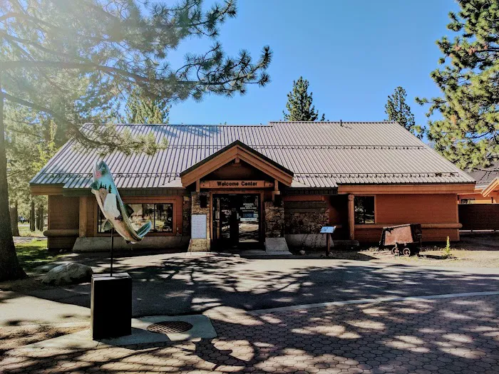 Pine Glen Group Campground Picture 1