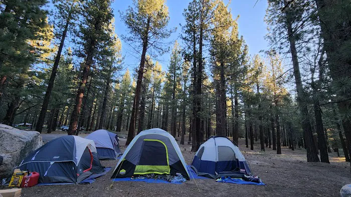 Pine Glen Group Campground Picture 2
