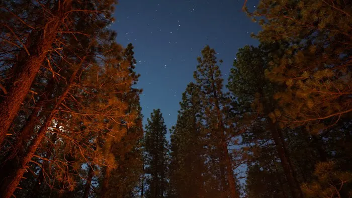 Pine Glen Group Campground Picture 4