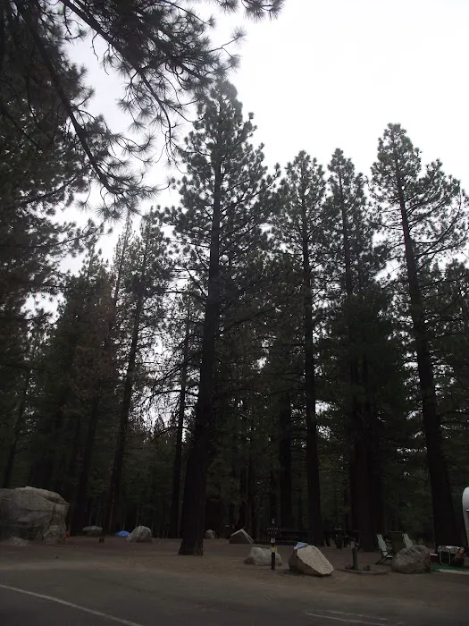 Pine Glen Group Campground Picture 6