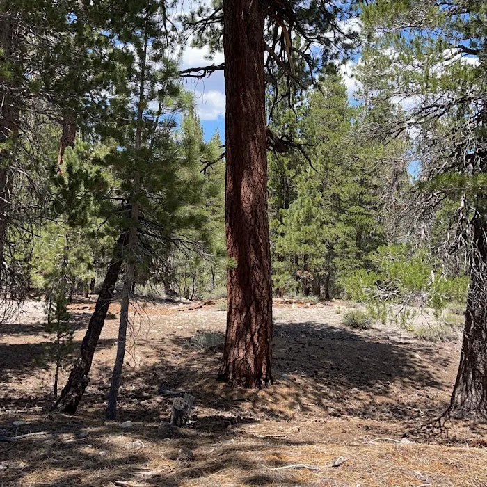 Upper Deadman Campground Picture 1