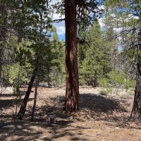 Upper Deadman Campground ico