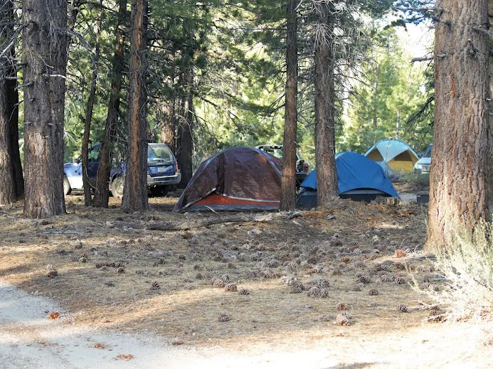 Upper Deadman Campground Picture 7