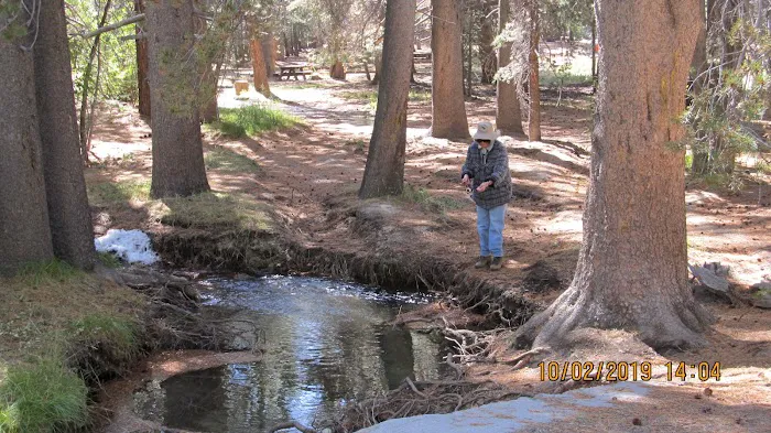Upper Deadman Campground Picture 9
