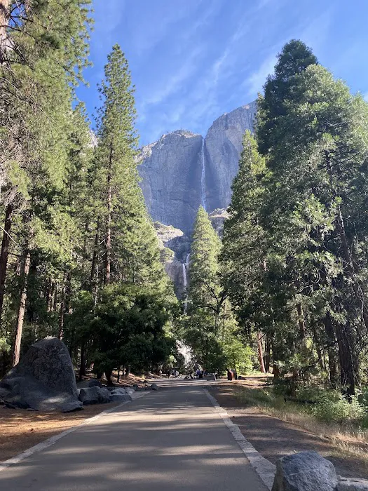 Camp 4 Yosemite Valley Picture 6