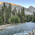 Upper Pines Campground