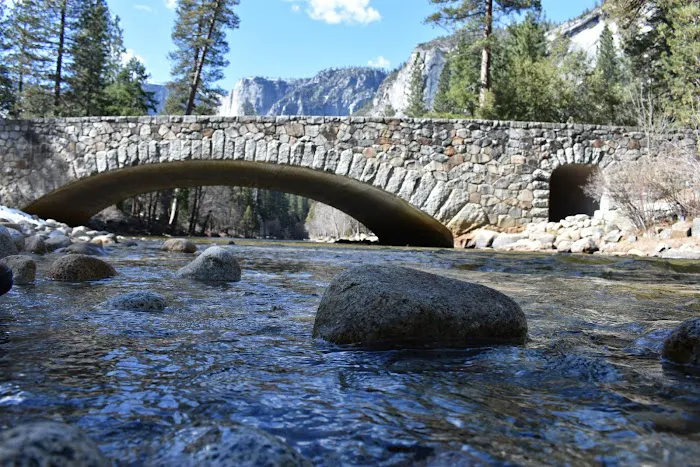 Upper Pines Campground Picture 2