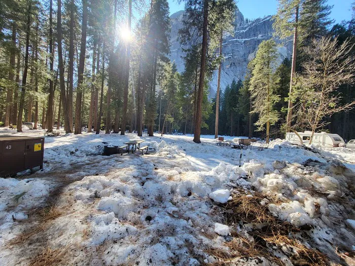 Upper Pines Campground Picture 5