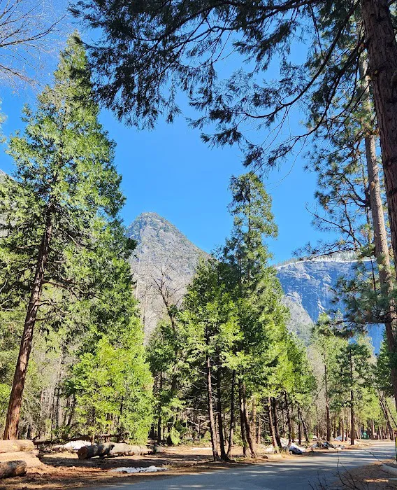 Upper Pines Campground Picture 4