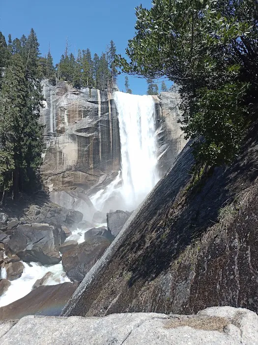 Upper Pines Campground Picture 7
