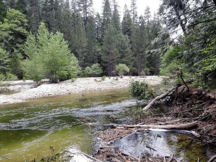 Upper Pines Campground Picture 8
