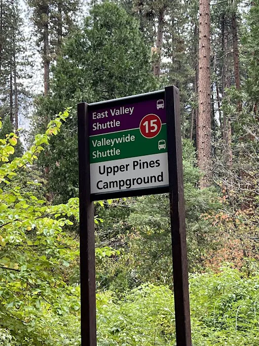 Upper Pines Campground Picture 10