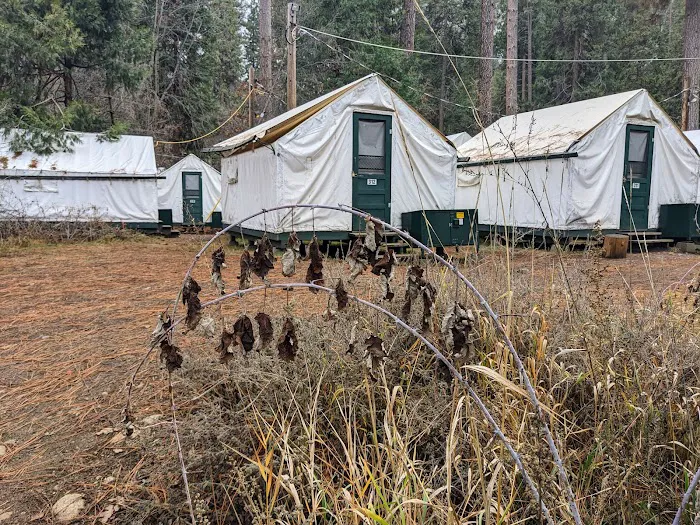 Valley Shuttle Stop #15: Upper Pines Campground Picture 2