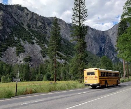 Valley Shuttle Stop #15: Upper Pines Campground