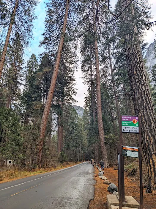 Valley Shuttle Stop #15: Upper Pines Campground Picture 5