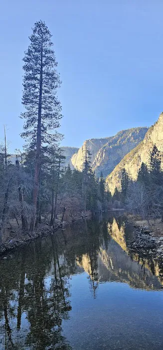 Valley Shuttle Stop #15: Upper Pines Campground Picture 7