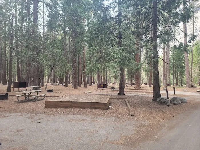 North Pines Campground Picture 2