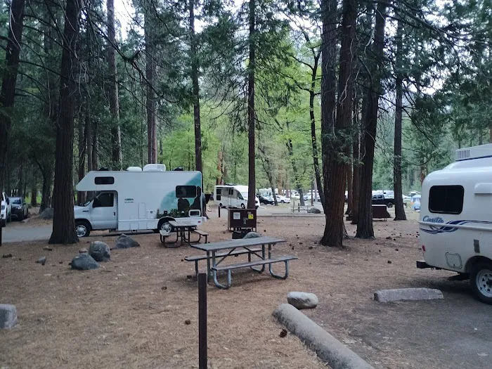 North Pines Campground Picture 7