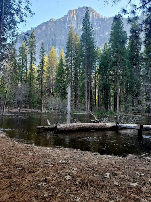 North Pines Campground Picture 9