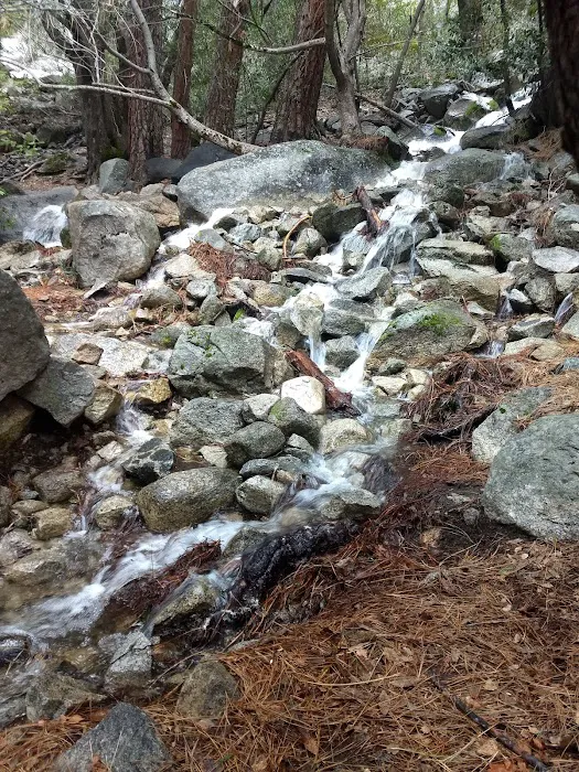 Backpacker's Campground Yosemite Valley Picture 6