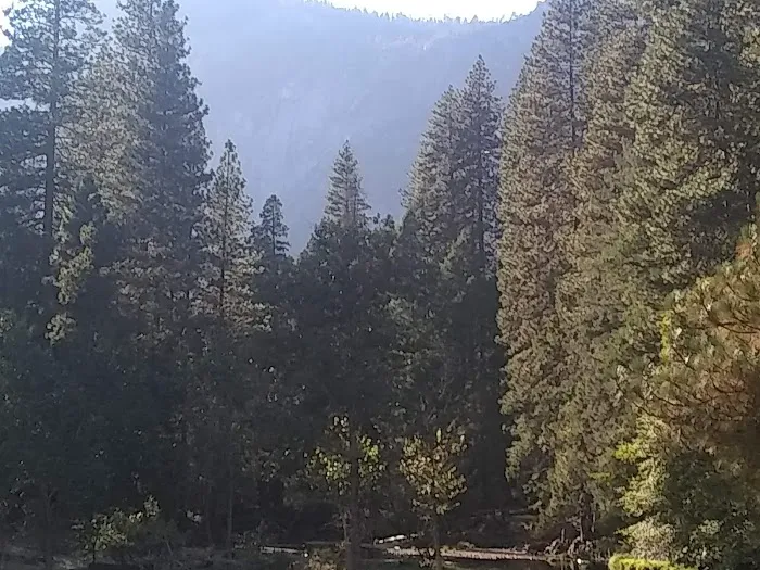 Backpacker's Campground Yosemite Valley Picture 8