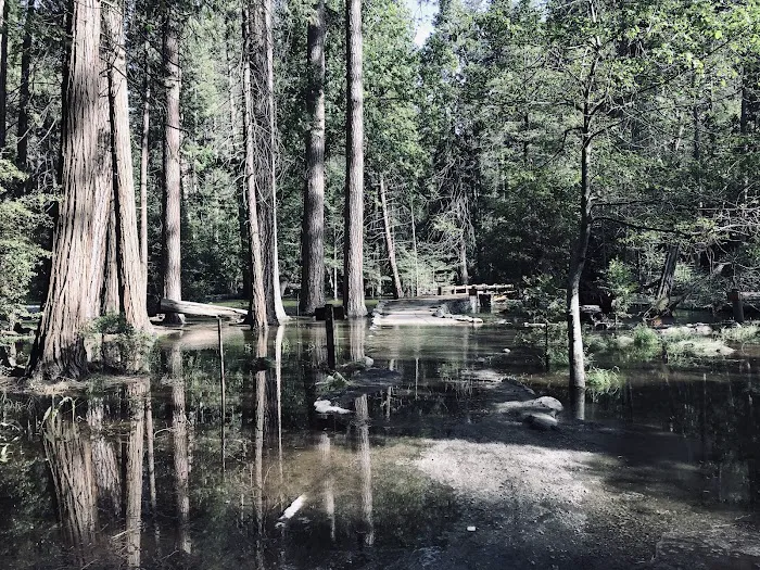 Backpacker's Campground Yosemite Valley Picture 10