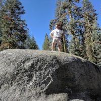 Tamarack Flat Campground ico