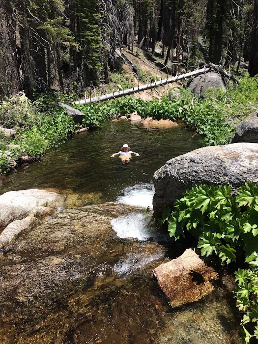 Tamarack Flat Campground Picture 3