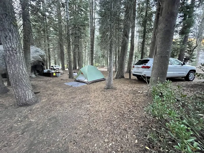 Tamarack Flat Campground Picture 2