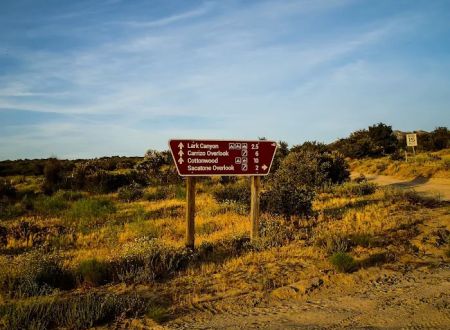 Lower Lark Canyon Campground
