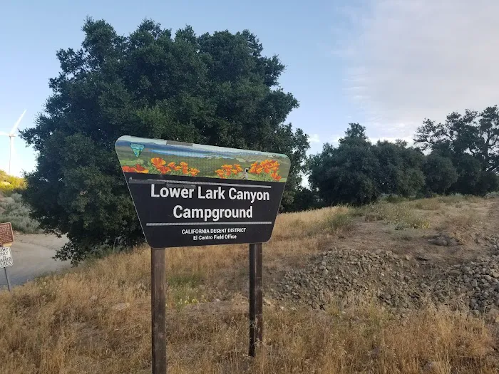 Lower Lark Canyon Campground Picture 3