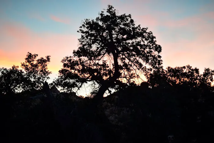 Lower Lark Canyon Campground Picture 5