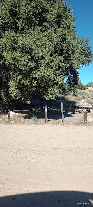 Lower Lark Canyon Campground Picture 6