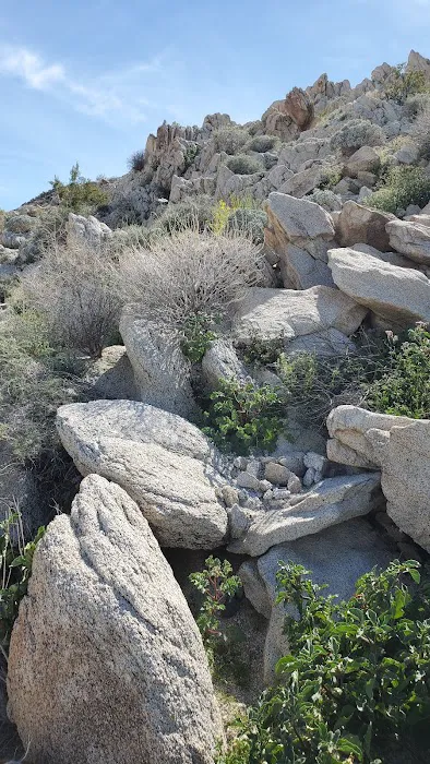 Bow Willow Campground Picture 7
