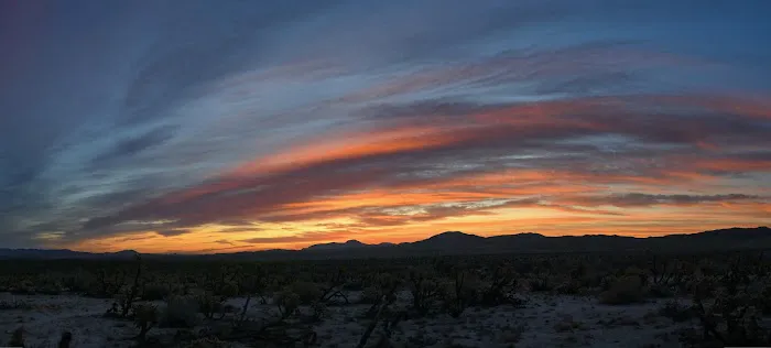 Mountain Palm Springs Campground Picture 5