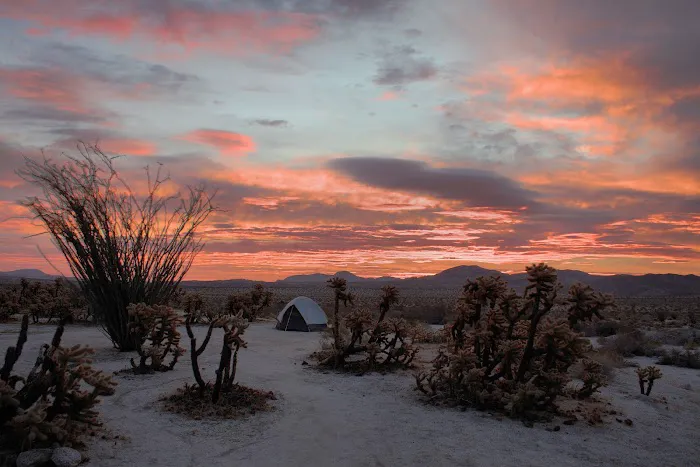Mountain Palm Springs Campground Picture 6