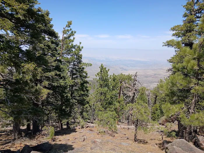 Stump Spring Campground Picture 1