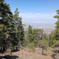 Stump Spring Campground ico