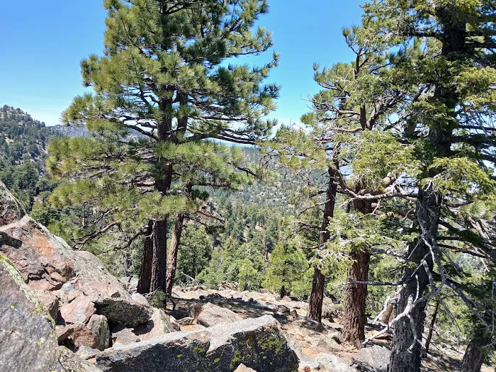 Stump Spring Campground Picture 2
