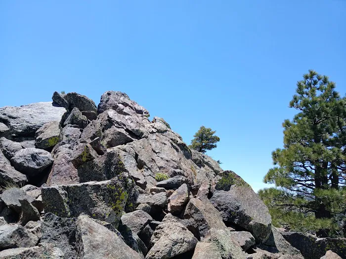 Stump Spring Campground Picture 3