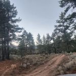 Goff Flat Yellow Post Camp Site