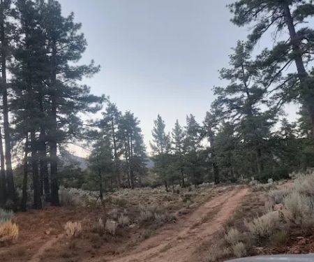 Goff Flat Yellow Post Camp Site
