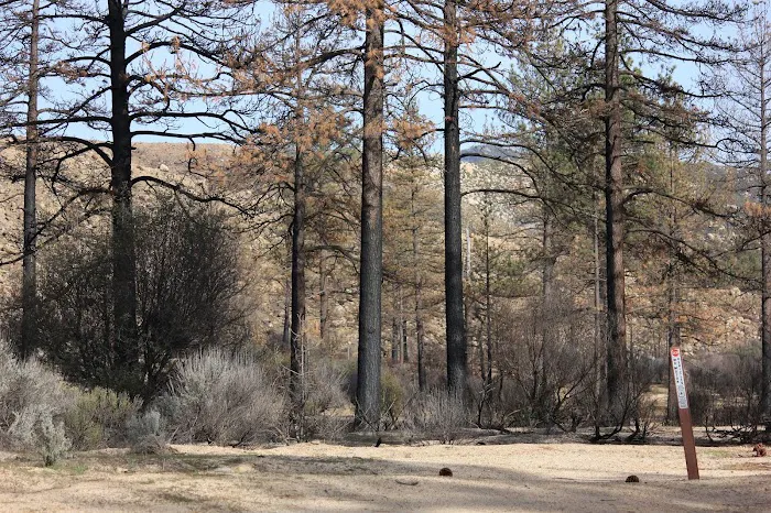 Apple Canyon Yellow Post Camp Site #1 Picture 4
